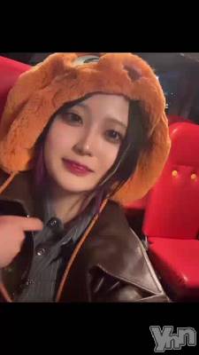 11��6�� 23��14ʬ��ư��