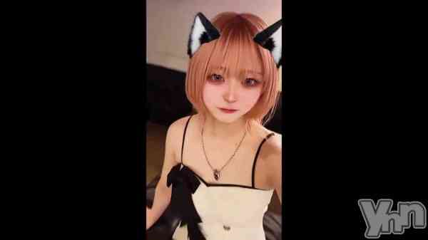 ��11��25�� 23��41ʬ��ư���