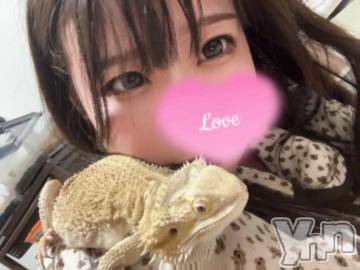 甲府デリヘル 山梨デリヘル　絆　甲府店(ヤマナシデリヘル　キズナ　コウフテン) あきら(25)の8月13日写メブログ「趣味な話♡」