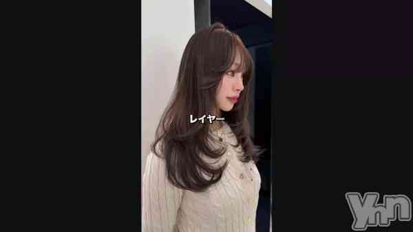 �����Ʊ��Ԥ���������