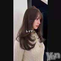 ���Ʊ��Ԥ�������