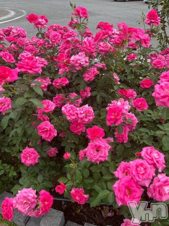 石和ソープ石和クリスタル(イサワクリスタル) じゅん(32)の10月20日写メブログ「またねー！」