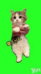 石和ソープ石和クリスタル(イサワクリスタル) じゅん(32)の1月30日写メブログ「猫ミーム🐈」