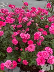 石和ソープ石和クリスタル(イサワクリスタル) じゅん(32)の10月20日写メブログ「またねー！」