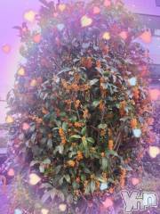 石和ソープ石和クリスタル(イサワクリスタル) じゅん(32)の10月27日写メブログ「金木犀」