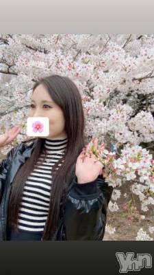石和ソープ 石和クリスタル(イサワクリスタル) じゅん(32)の4月8日写メブログ「お花見🌸」