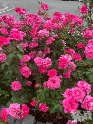 石和ソープ 石和クリスタル(イサワクリスタル) じゅん(32)の10月20日写メブログ「またねー！」