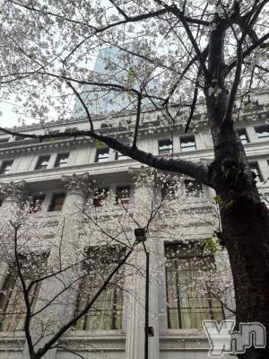 石和ソープ 石和クリスタル(イサワクリスタル) じゅん(32)の4月2日写メブログ「4月🌸(お知らせあり)」