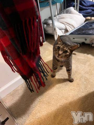 甲府ソープオレンジハウスりつ(27)の2023年11月14日写メブログ「🇺🇸アメリカ生活16日目🇺🇸」