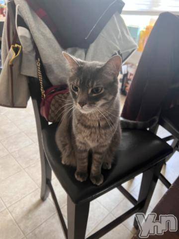 甲府ソープオレンジハウスりつ(27)の2023年11月17日写メブログ「🇺🇸アメリカ生活32、33日目🇺🇸 ロックだぜっ！！！」