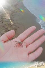 甲府デリヘル甲府人妻隊(コウフヒトヅマタイ) 新人ももか(48)の9月20日写メブログ「リフレッシュ」