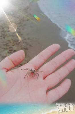 甲府デリヘル 甲府人妻隊(コウフヒトヅマタイ) 新人ももか(48)の9月20日写メブログ「リフレッシュ」