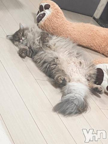 石和ソープ石和クリスタル(イサワクリスタル) りりあ(23)の9月9日写メブログ「ちと休憩😚」