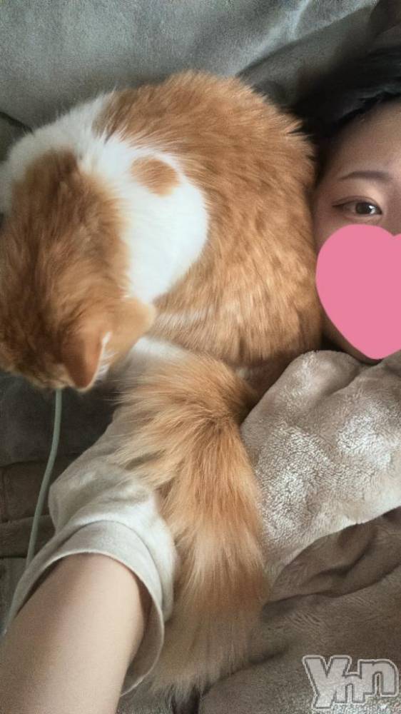 石和ソープ石和クリスタル(イサワクリスタル) りりあ(23)の11月16日写メブログ「ฅ( ˙꒳​˙ ฅ)」