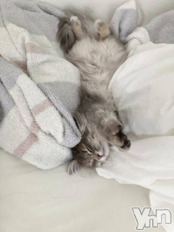 石和ソープ石和クリスタル(イサワクリスタル)りりあ(23)の2023年9月5日写メブログ「お礼💌」