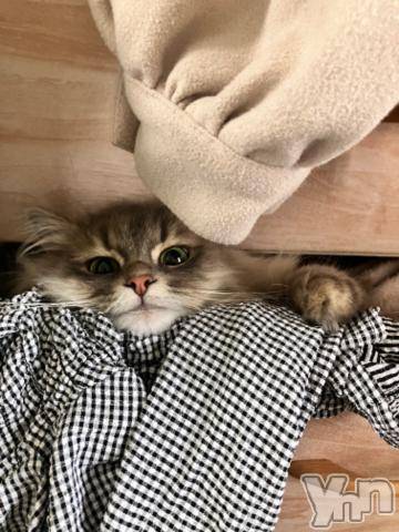 石和ソープ石和クリスタル(イサワクリスタル)りりあ(23)の2023年9月6日写メブログ「お礼💌」