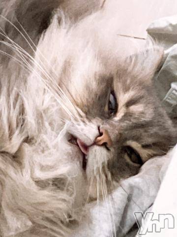 石和ソープ石和クリスタル(イサワクリスタル)りりあ(23)の2023年9月9日写メブログ「お礼💌」