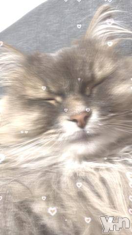 石和ソープ石和クリスタル(イサワクリスタル)りりあ(23)の2024年8月1日写メブログ「おはようございます(-_-)」