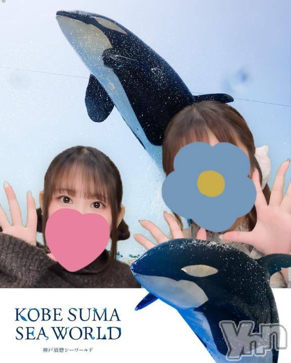 石和ソープ石和クリスタル(イサワクリスタル)りりあ(23)の2025年11月15日写メブログ「🐬🐟🐠」