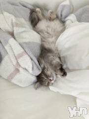 石和ソープ石和クリスタル(イサワクリスタル) りりあ(23)の9月5日写メブログ「お礼💌」