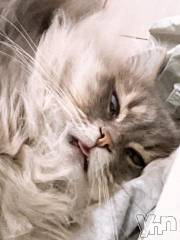 石和ソープ石和クリスタル(イサワクリスタル) りりあ(23)の9月9日写メブログ「お礼💌」