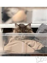 石和ソープ石和クリスタル(イサワクリスタル) りりあ(23)の10月5日写メブログ「おはようです(@￣ρ￣@)じかんはほしい」