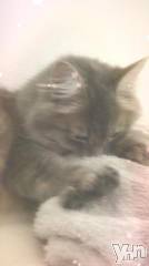 石和ソープ石和クリスタル(イサワクリスタル) りりあ(23)の1月23日写メブログ「きたくです」