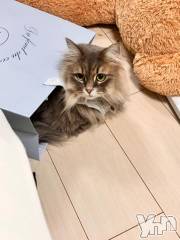 石和ソープ石和クリスタル(イサワクリスタル) りりあ(23)の4月28日写メブログ「(=^ェ^=)」