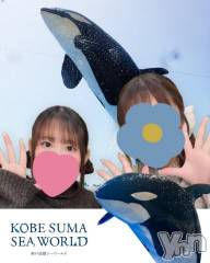 石和ソープ石和クリスタル(イサワクリスタル) りりあ(23)の11月15日写メブログ「🐬🐟🐠」