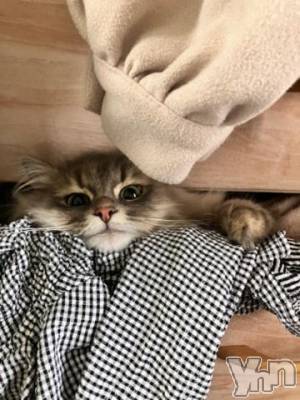 石和ソープ 石和クリスタル(イサワクリスタル) りりあ(23)の9月6日写メブログ「お礼💌」