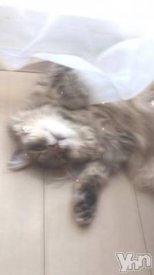 石和ソープ 石和クリスタル(イサワクリスタル) りりあ(23)の9月8日写メブログ「お礼💌」