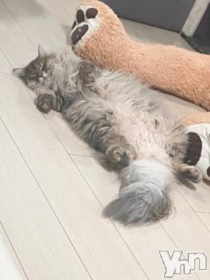 石和ソープ 石和クリスタル(イサワクリスタル) りりあ(23)の9月9日写メブログ「ちと休憩😚」