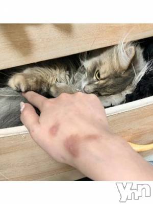 石和ソープ 石和クリスタル(イサワクリスタル) りりあ(23)の6月17日写メブログ「真実はいつもひとつ☝️」