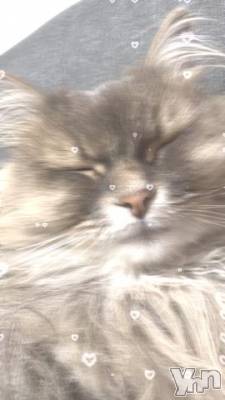 石和ソープ 石和クリスタル(イサワクリスタル) りりあ(23)の8月1日写メブログ「おはようございます(-_-)」