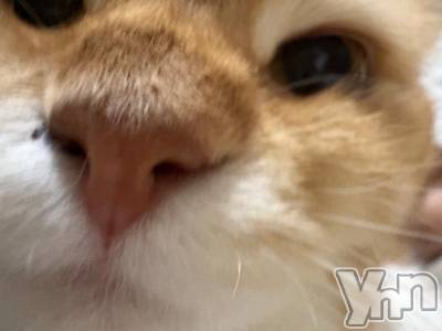 石和ソープ 石和クリスタル(イサワクリスタル) りりあ(23)の9月11日写メブログ「(ˆ꜆ .  ̫ . ).ᐟ.ᐟ」