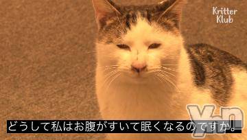 甲府ソープ BARUBORA(バルボラ) ちさと(19)の9月12日写メブログ「おやすみなさい😪💤」