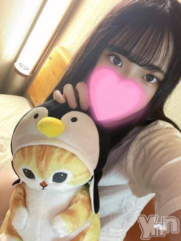 甲府ソープオレンジハウス みほの(22)の1月17日写メブログ「🐱」