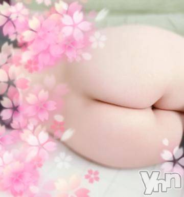 甲府デリヘル甲府人妻隊(コウフヒトヅマタイ)新人こい(41)の2024年3月13日写メブログ「初体験」