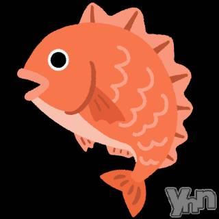 甲府デリヘル 甲府人妻隊(コウフヒトヅマタイ) 新人こい(41)の9月11日写メブログ「ひといき」