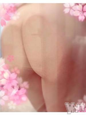 甲府デリヘル 甲府人妻隊(コウフヒトヅマタイ) 新人こい(41)の3月26日写メブログ「つみびと」