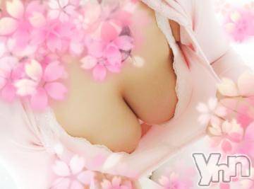 甲府デリヘル 甲府人妻隊(コウフヒトヅマタイ) 新人こい(41)の4月5日写メブログ「いよいよ出勤日」