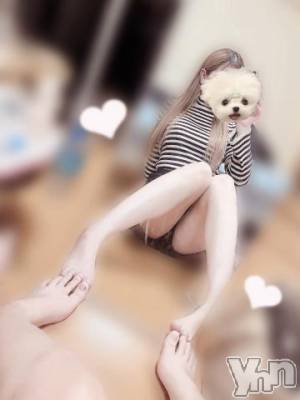 甲府ソープ オレンジハウス もえり(24)の12月19日写メブログ「おはにゃ(≡^.^≡)♪」