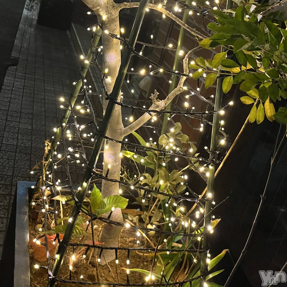 ���ܥ���Х��顦�����CLUB WONDER(����� ������) �椦��12��23���̥�֥�����🎅��