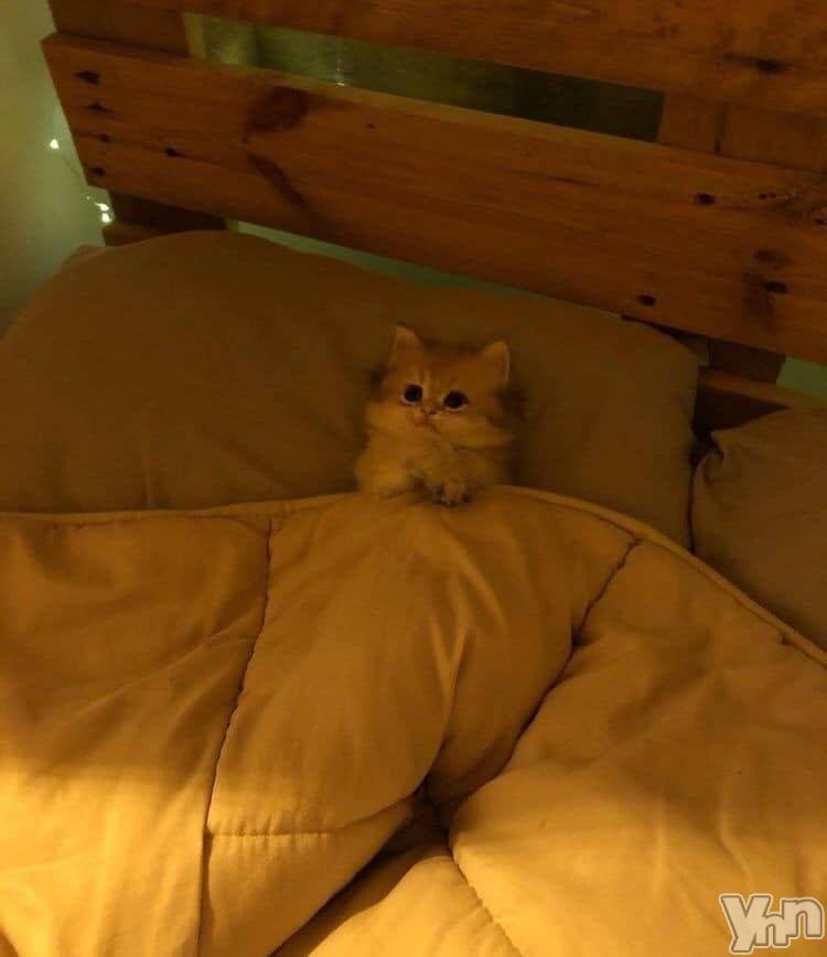 ���ܥ���Х��顦�����CLUB WONDER(����� ������) �椦��1��13���̥�֥����֤������🧊��