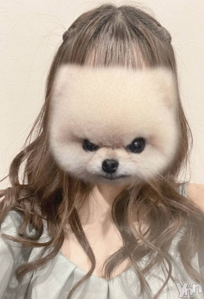 ���ܥ���Х��顦�����CLUB WONDER(����� ������) �椦��1��19���̥�֥�����🐶��