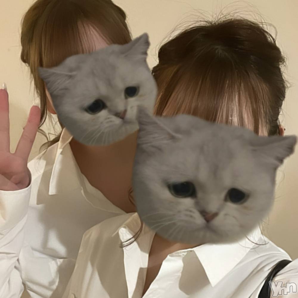 ���ܥ���Х��顦�����CLUB WONDER(����� ������) �椦��3��15���̥�֥����֥ۥ磻�ȥǡ����٥��🤍��