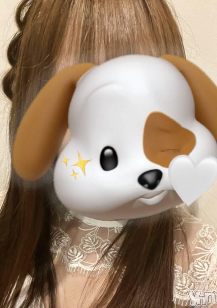 ���ܥ���Х��顦�����CLUB WONDER(����� ������) �椦��8��6���̥�֥�����🐶🤍��