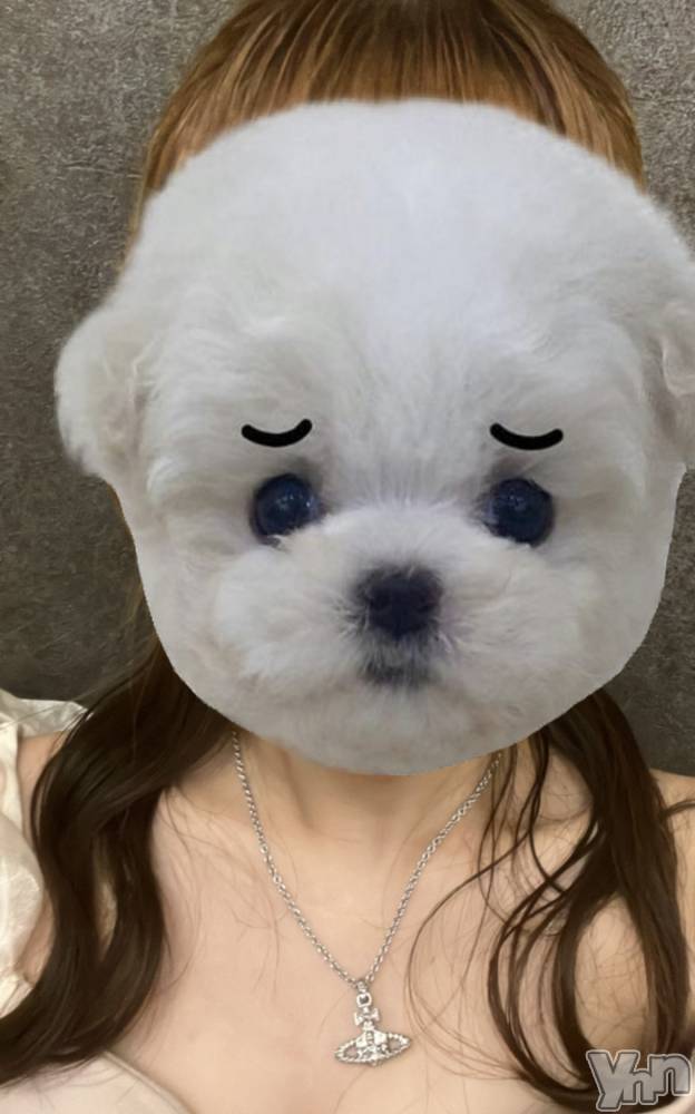 ���ܥ���Х��顦�����CLUB WONDER(����� ������) �椦��8��9���̥�֥�����🐕��