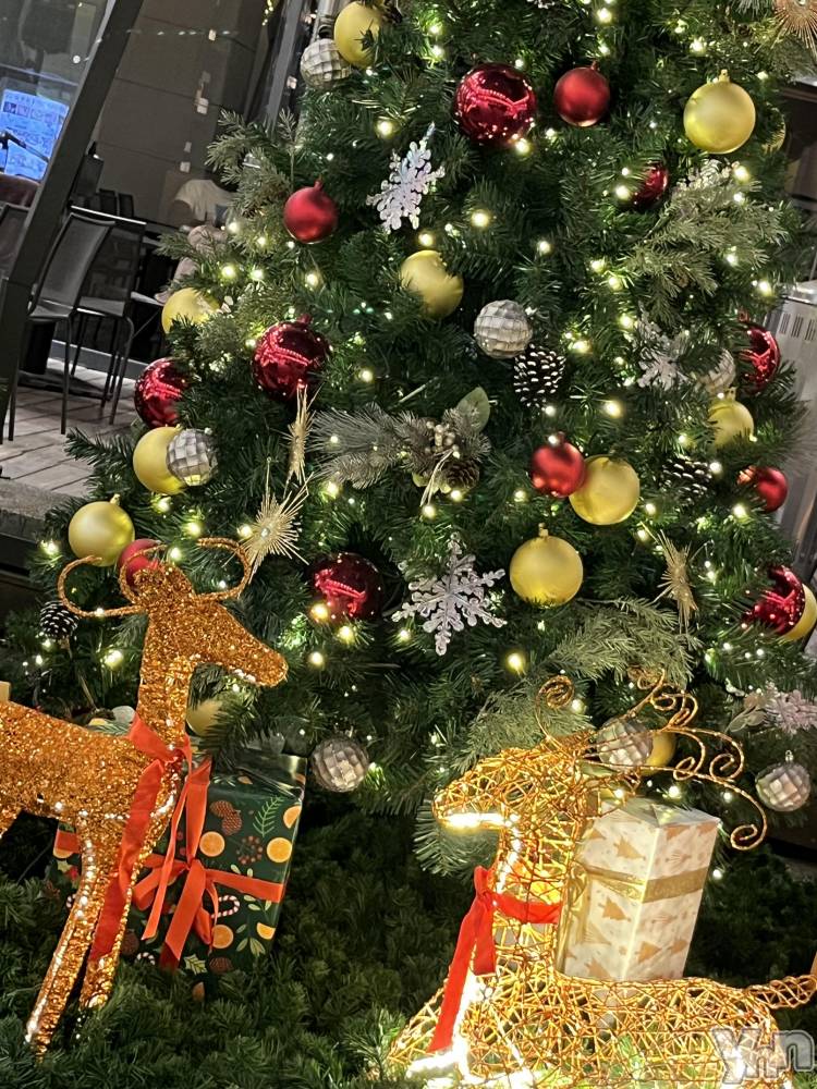 ���ܥ���Х��顦�����CLUB WONDER(����� ������) �椦��12��25���̥�֥����֥��ꥹ�ޥ��ĥ꡼��