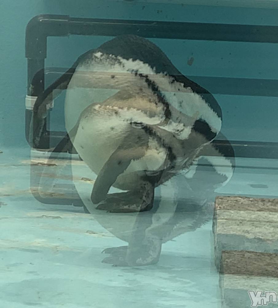 ���ܥ���Х��顦�����CLUB WONDER(����� ������) �椦��3��12���̥�֥����֥ߥ饯�롩��